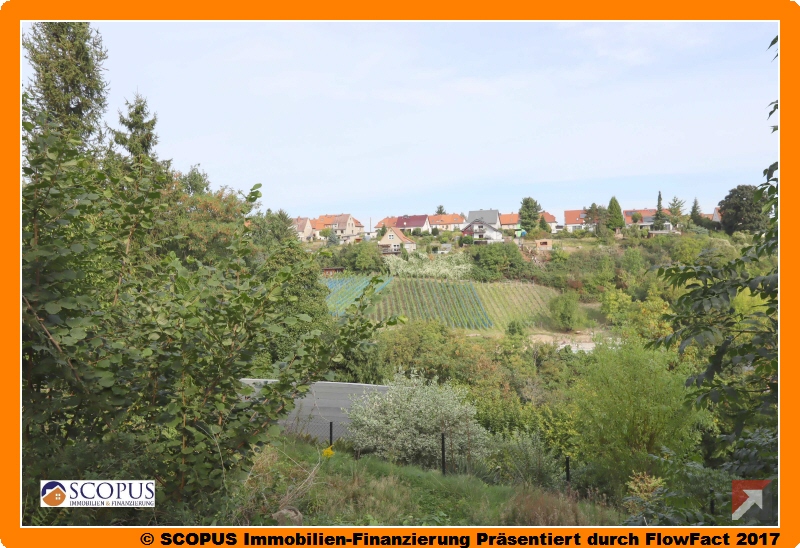 Blick vom Terrassengarten