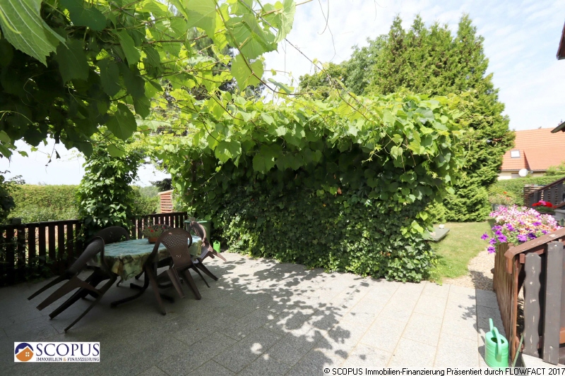 Sitzbereich mit Weinranken